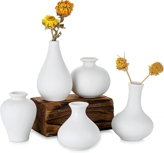 Ceramic Set of 5 White Vases for Home D�cor